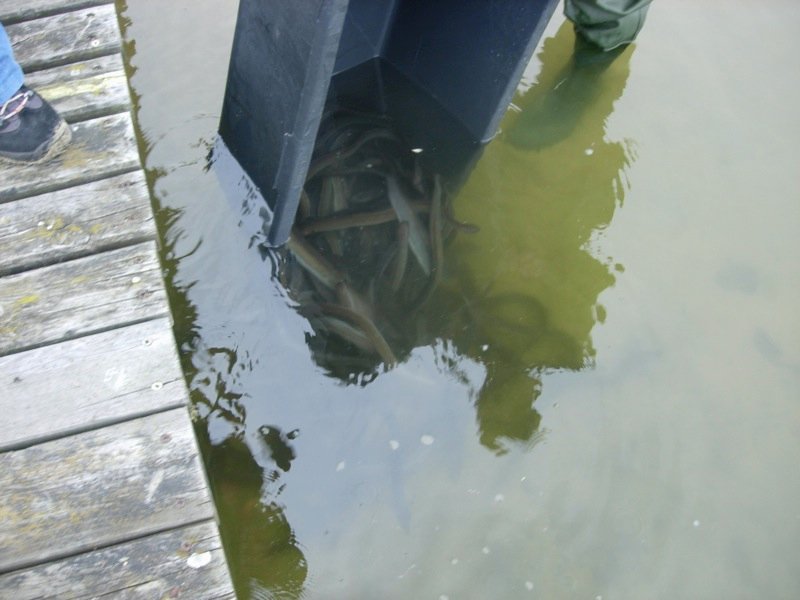 DSCN3783.JPG