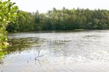 Malowniczy widok na jezioro