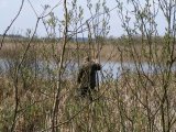 sieci mogą być wszędzie